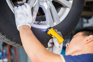 一城雙展 瑞弗帶你融入西南,沉浸西南